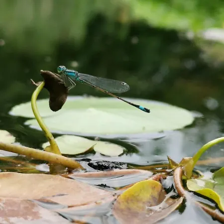 アパート Elephant *