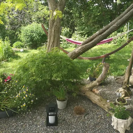 Elephant Apartment Tettnang