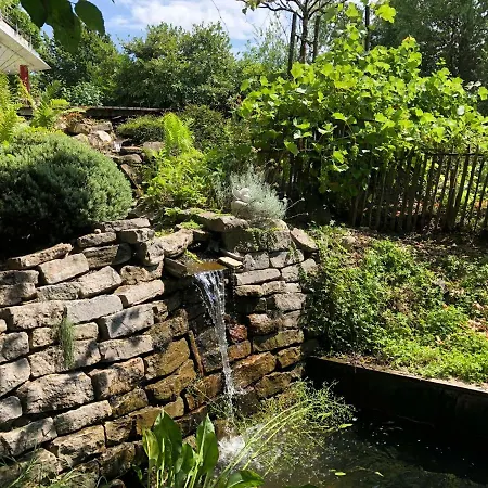 Elephant テットナング