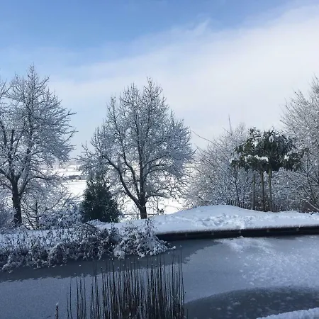 Elephant Apartment *