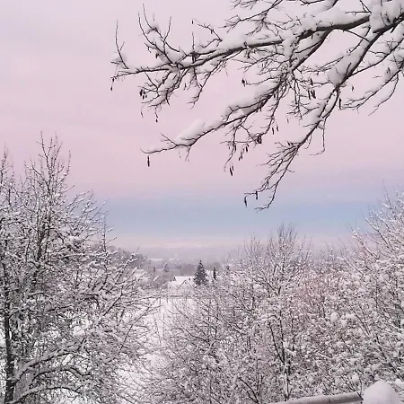 Elephant * テットナング