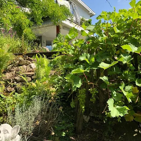 アパート Elephant *