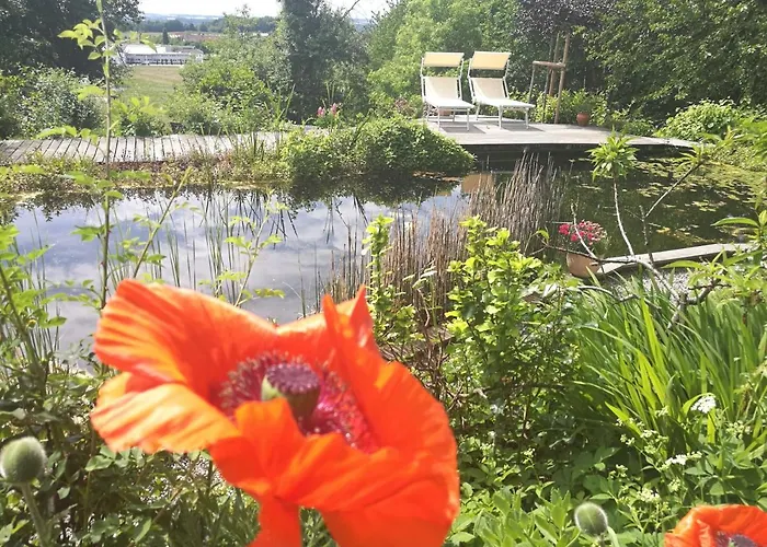 Elephant * טטנאנג