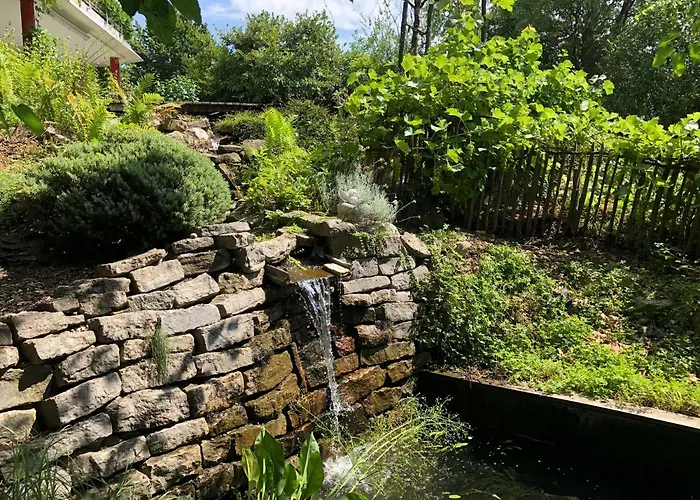 Elephant טטנאנג