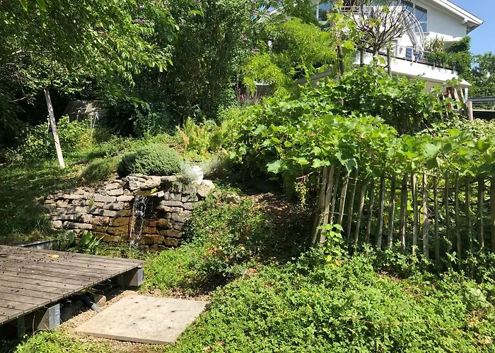 Elephant * טטנאנג