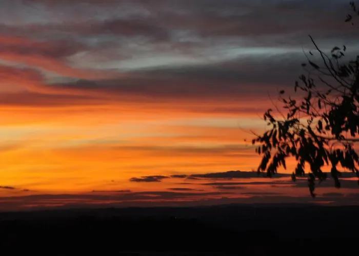 Elephant טטנאנג