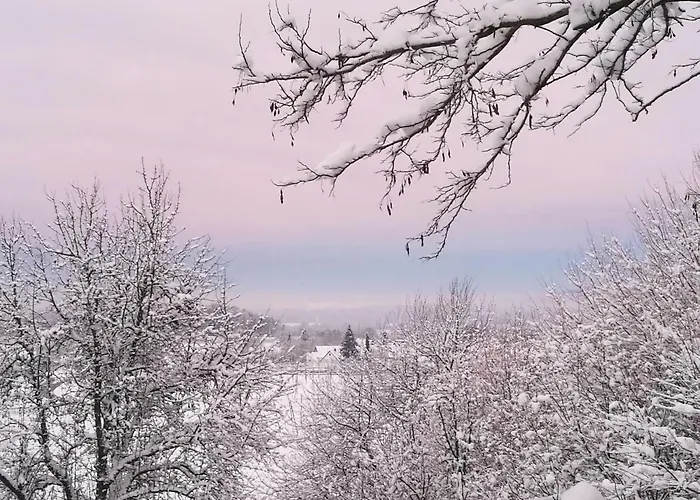 Elephant * טטנאנג